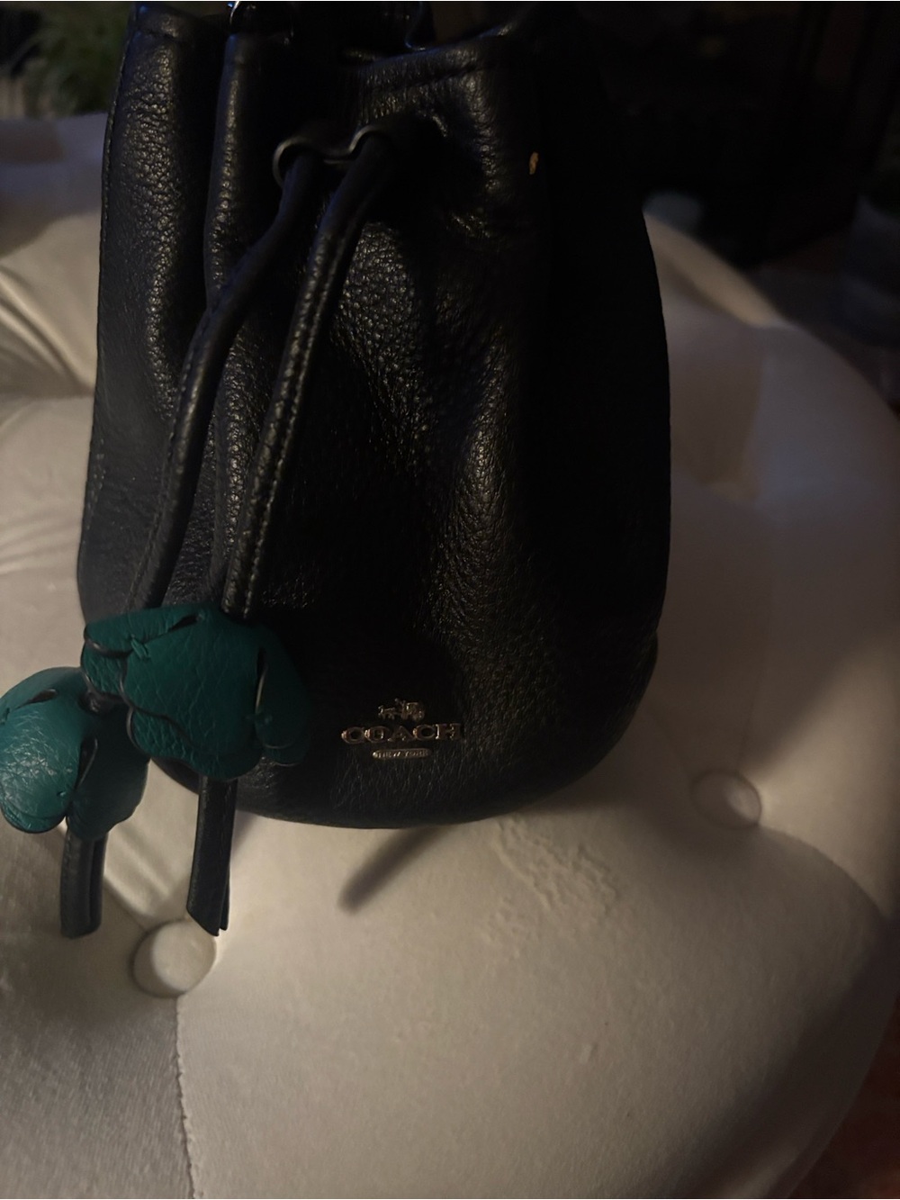Coach Petal pebbled-leather drawstring bucket bag with adorable flowers!